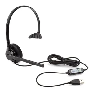 dragon USB headset